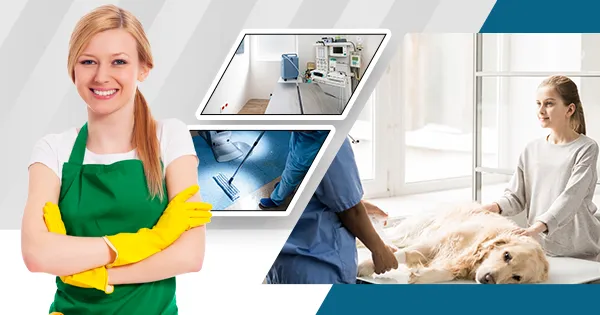 Deep Cleaning for Veterinary Clinics Creating a Hygienic Environment for Pets and Clients