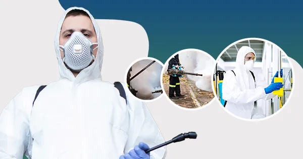 Warehouse Cleaning Preventing Pest Infestation and Contamination